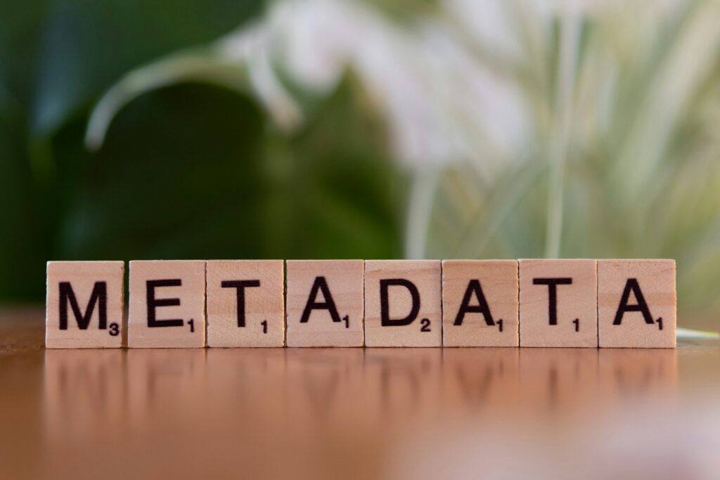 metadata management